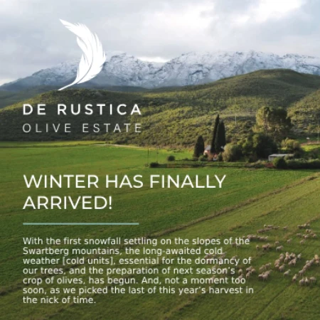 winter newsletter main