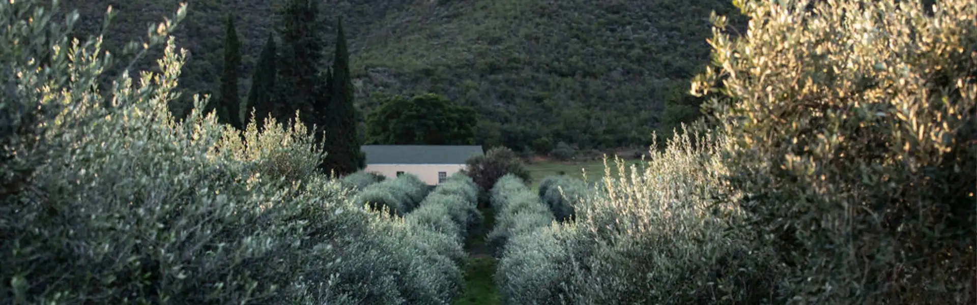 terroir & climate